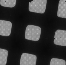 Square of cryo-EM grid with holey film